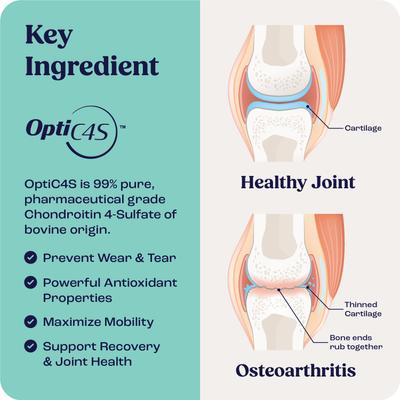 Show full view: Summit Animal Health Liquid Joint & Mobility Supplement for Medium Dogs, 0.4-fl oz slide 6 of 9