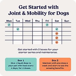Summit Animal Health Liquid Joint & Mobility Supplement for Large Dogs, 0.54-fl oz slide 2 of 7