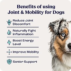 Summit Animal Health Liquid Joint & Mobility Supplement for Medium Dogs, 0.4-fl oz slide 2 of 7
