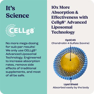 Show full view: Summit Animal Health Liquid Joint & Mobility Supplement for Medium Dogs, 0.4-fl oz slide 7 of 9