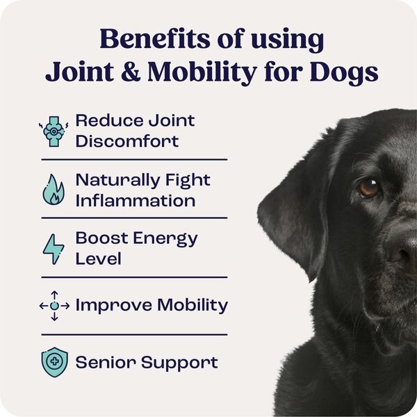 Summit Animal Health Liquid Joint & Mobility Supplement for Large Dogs, 0.54-fl oz