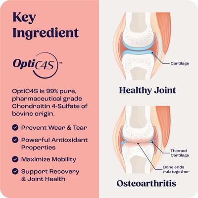 Show full view: Summit Animal Health Liquid Joint & Mobility Supplement for Cats, 0.2-fl oz slide 6 of 9