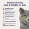 Show in main carousel: Summit Animal Health Liquid Joint & Mobility Supplement for Cats, 0.2-fl oz slide 3 of 9