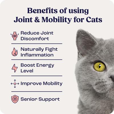 Show full view: Summit Animal Health Liquid Joint & Mobility Supplement for Cats, 0.2-fl oz slide 3 of 9