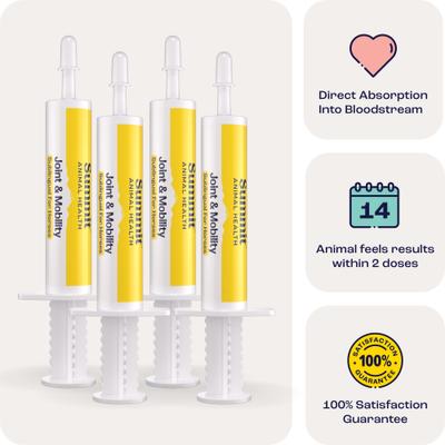 Show full view: Summit Animal Health Joint & Mobility Sublingual Horse Supplement, 4 count slide 6 of 7
