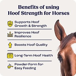 Summit Animal Health Hoof Strength Powder Horse Hoof Supplement, 9.1-oz jar slide 2 of 9