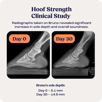 Show full view: Summit Animal Health Hoof Strength Powder Horse Hoof Supplement, 9.1-oz jar slide 6 of 10