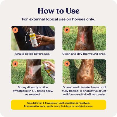 Show full view: Summit Animal Health Sores & More Horse Skin Care Treatment, 4-fl oz bottle slide 4 of 6