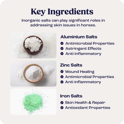 Show full view: Summit Animal Health Sores & More Horse Skin Care Treatment, 4-fl oz bottle slide 5 of 6