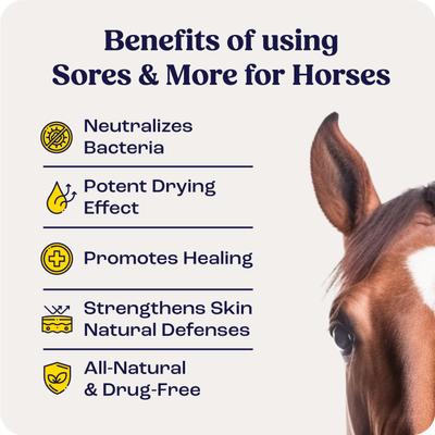 Show full view: Summit Animal Health Sores & More Horse Skin Care Treatment, 4-fl oz bottle slide 2 of 6