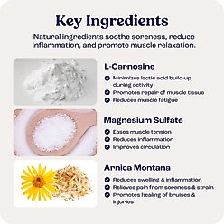 Summit Animal Health Muscle Relief Gel for Horses, 16-fl oz bottle slide 2 of 7