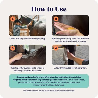 Show full view: Summit Animal Health Muscle Relief Gel for Horses, 16-fl oz bottle slide 5 of 7