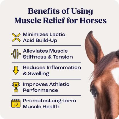 Show full view: Summit Animal Health Muscle Relief Gel for Horses, 16-fl oz bottle slide 3 of 7