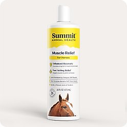 Summit Animal Health Muscle Relief Gel for Horses, 16-fl oz bottle slide 1 of 7