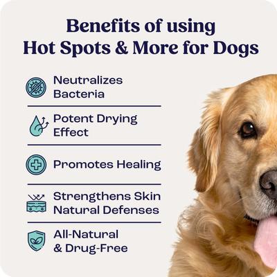 Show full view: Summit Animal Health Hot Spots & More Spray for Dogs, 4-fl oz bottle slide 3 of 8