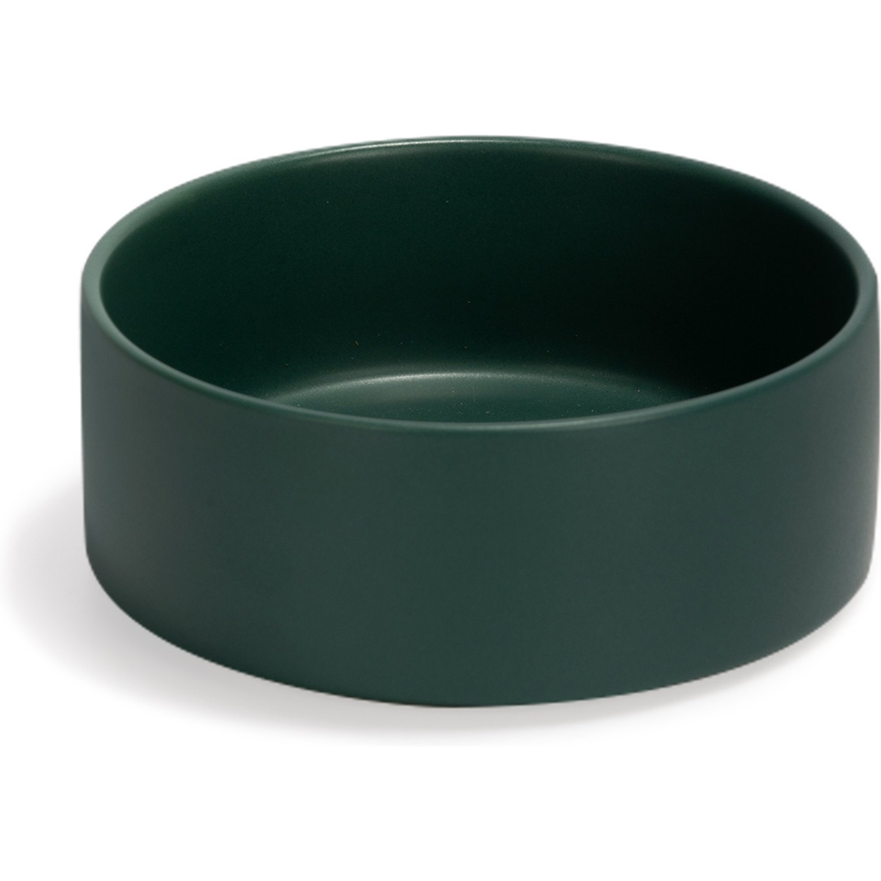 SpunkyJunky Modern Cute Ceramic Weighted Dog Bowl, 1 count, Green, 1.7 cup