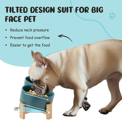 Show full view: SpunkyJunky Slanted Ceramic & Wood Non-Slip Dog Bowl, 2 count, Green, 3.6 cup slide 3 of 10