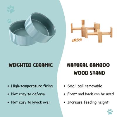 Show full view: SpunkyJunky Slanted Ceramic & Wood Non-Slip Dog Bowl, 2 count, Light Green, 1.7 cup slide 8 of 10