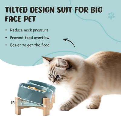 Show full view: SpunkyJunky Slanted Ceramic & Wood Non-Slip Dog Bowl, 2 count, Light Green, 1.7 cup slide 3 of 10