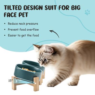 Show full view: SpunkyJunky Slanted Ceramic & Wood Non-Slip Dog Bowl, 2 count, Green, 1.7 cup slide 3 of 10