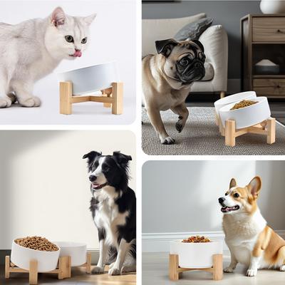 Show full view: SpunkyJunky Slanted Ceramic & Wood Non-Slip Dog Bowl, 2 count, White, 1.7 cup slide 8 of 9