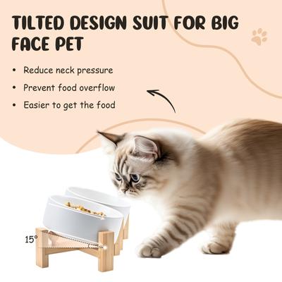 Show full view: SpunkyJunky Slanted Ceramic & Wood Non-Slip Dog Bowl, 2 count, White, 1.7 cup slide 2 of 9