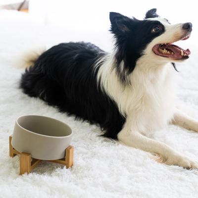 Show full view: SpunkyJunky Slanted Ceramic & Wood Non-Slip Dog Bowl, 1 count, 3.6 cup, Grey slide 7 of 9