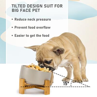 Show full view: SpunkyJunky Slanted Ceramic & Wood Non-Slip Dog Bowl, 1 count, 3.6 cup, Grey slide 2 of 9