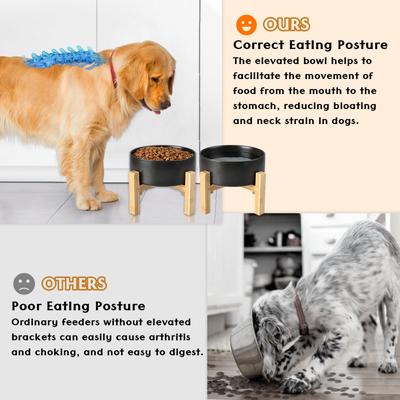 Show full view: SpunkyJunky Ceramic & Wood Non-Slip Elevated Dog Bowls, 2 count, Black, 3.6 cup slide 4 of 8