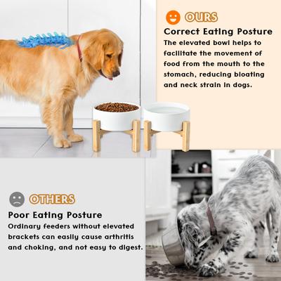 Show full view: SpunkyJunky Ceramic & Wood Non-Slip Elevated Dog Bowls, 2 count, White, 1.7 cup slide 3 of 7