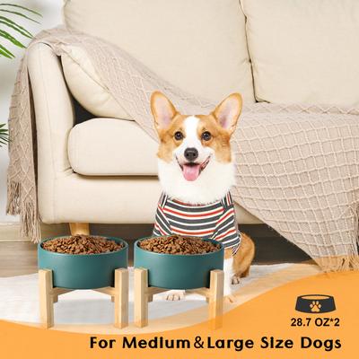 Show full view: SpunkyJunky Ceramic & Wood Non-Slip Elevated Dog Bowls, 2 count, Green, 3.6 cup slide 8 of 8
