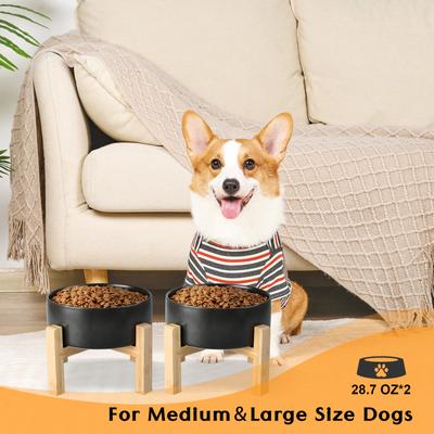 Show full view: SpunkyJunky Ceramic & Wood Non-Slip Elevated Dog Bowls, 2 count, Black, 3.6 cup slide 8 of 8