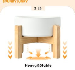 SpunkyJunky Ceramic & Wood Non-Slip Elevated Dog Bowls, 2 count, White, 3.6 cup slide 2 of 7