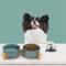 Show in main carousel: SpunkyJunky Ceramic & Wood Non-Slip Weighted Dog & Cat Bowls, 2 count, Dark Green, 1.7 cup slide 7 of 7
