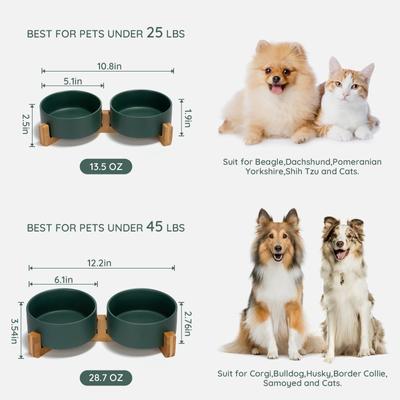 Show full view: SpunkyJunky Ceramic & Wood Non-Slip Weighted Dog & Cat Bowls, 2 count, Green, 1.7 cup slide 5 of 8