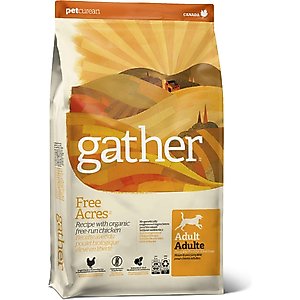 Gather Free Acres Organic Free-Run Chicken Dry Dog Food, 16-lb bag