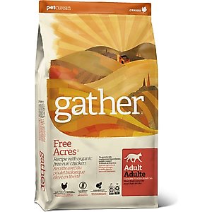 Gather Free Acres Organic Free-Run Chicken Dry Cat Food, 8-lb bag