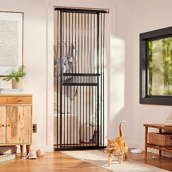 pet doors for cats