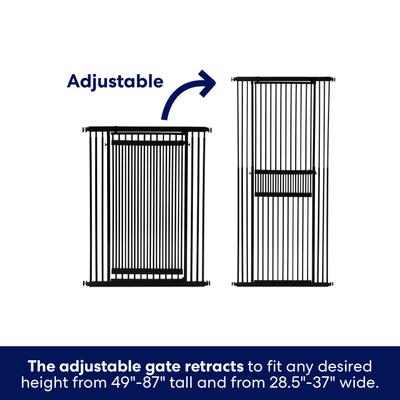 Show full view: Frisco Cat Safety Gate, Black slide 5 of 9