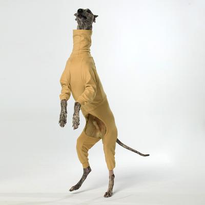 Show full view: Pebot Gumdrop Dog & Cat Fleece Onesie, Butter Yellow, Size 12 slide 3 of 6