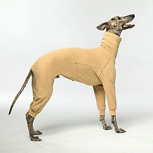 Pebot Gumdrop Dog & Cat Fleece Onesie, Butter Yellow, Size 12