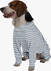 Pebot Gumdrop Dog & Cat Fleece Onesie, Blue/White Stripe, Size 8