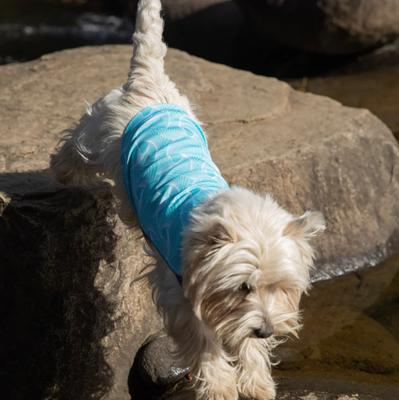 Show full view: Pebot Dobby Dog & Cat Sun Protection T-Shirt, Turquoise, Size 12 slide 3 of 4
