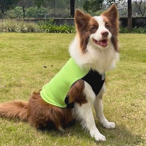 Pebot Dobby Dog & Cat Sun Protection T-Shirt, Lime Green, Size 18