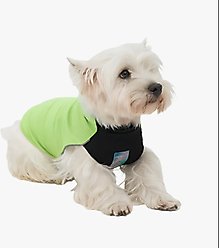 Pebot Dobby Dog & Cat Sun Protection T-Shirt, Lime Green, Size 18
