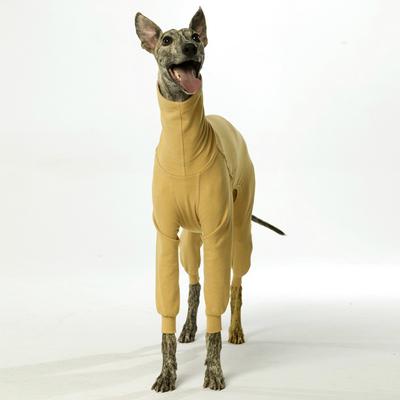 Show full view: Pebot Gumdrop Dog & Cat Fleece Onesie, Butter Yellow, Size 12 slide 2 of 6