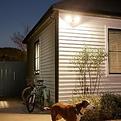 Google Nest Cam Outdoor or Wired with Floodlight Security Camera, Snow slide 2 of 9