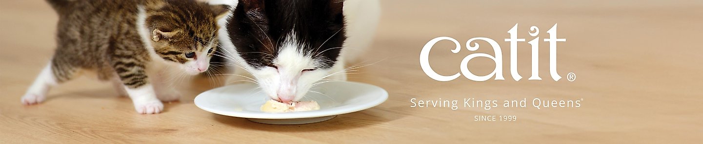 catit. serving kinds and queens since 1999