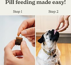 Pill Buddy Naturals Grilled Duck Soft & Chewy Dog Treats, 90 count slide 2 of 9