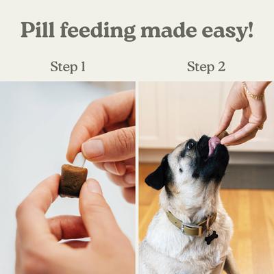 Show full view: Pill Buddy Naturals Roasted Chicken Soft & Chewy Dog Treats, 90 count slide 8 of 10